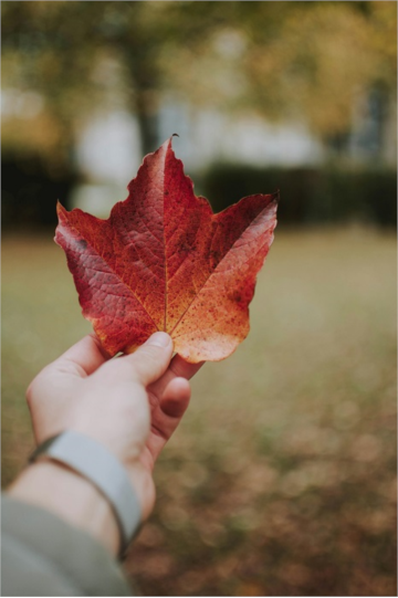 ورک پرمیت PGWP کانادا چیست؟ راهی طلایی برای اقامت دائم پس از تحصیل